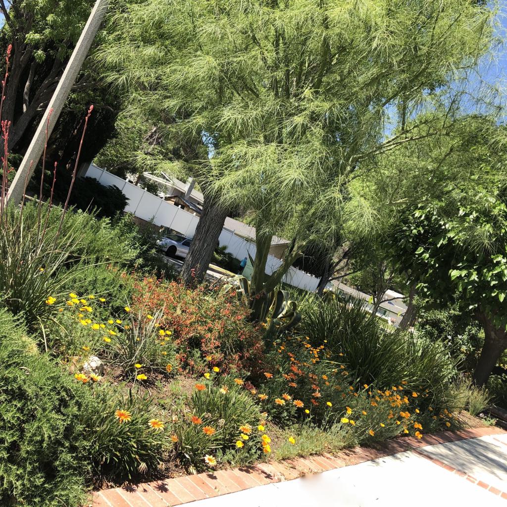 Santa Clarita Landscape Design Songbird Garden Design